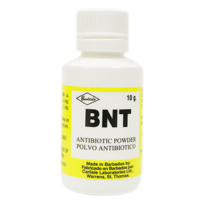 BNT POWDER 15GRM